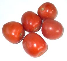 Tomaten.jpg